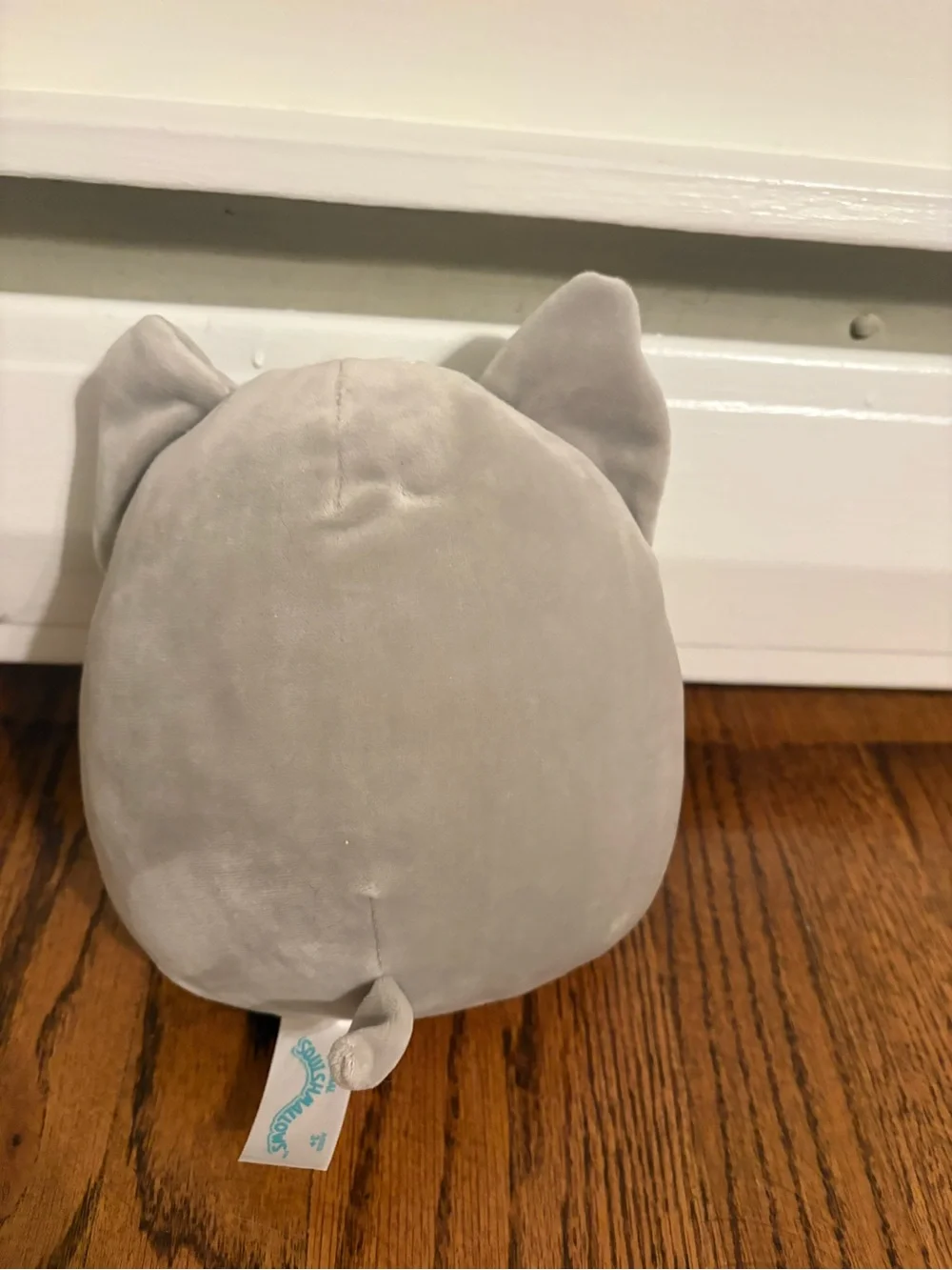 Casmir the Husky Squishmallow